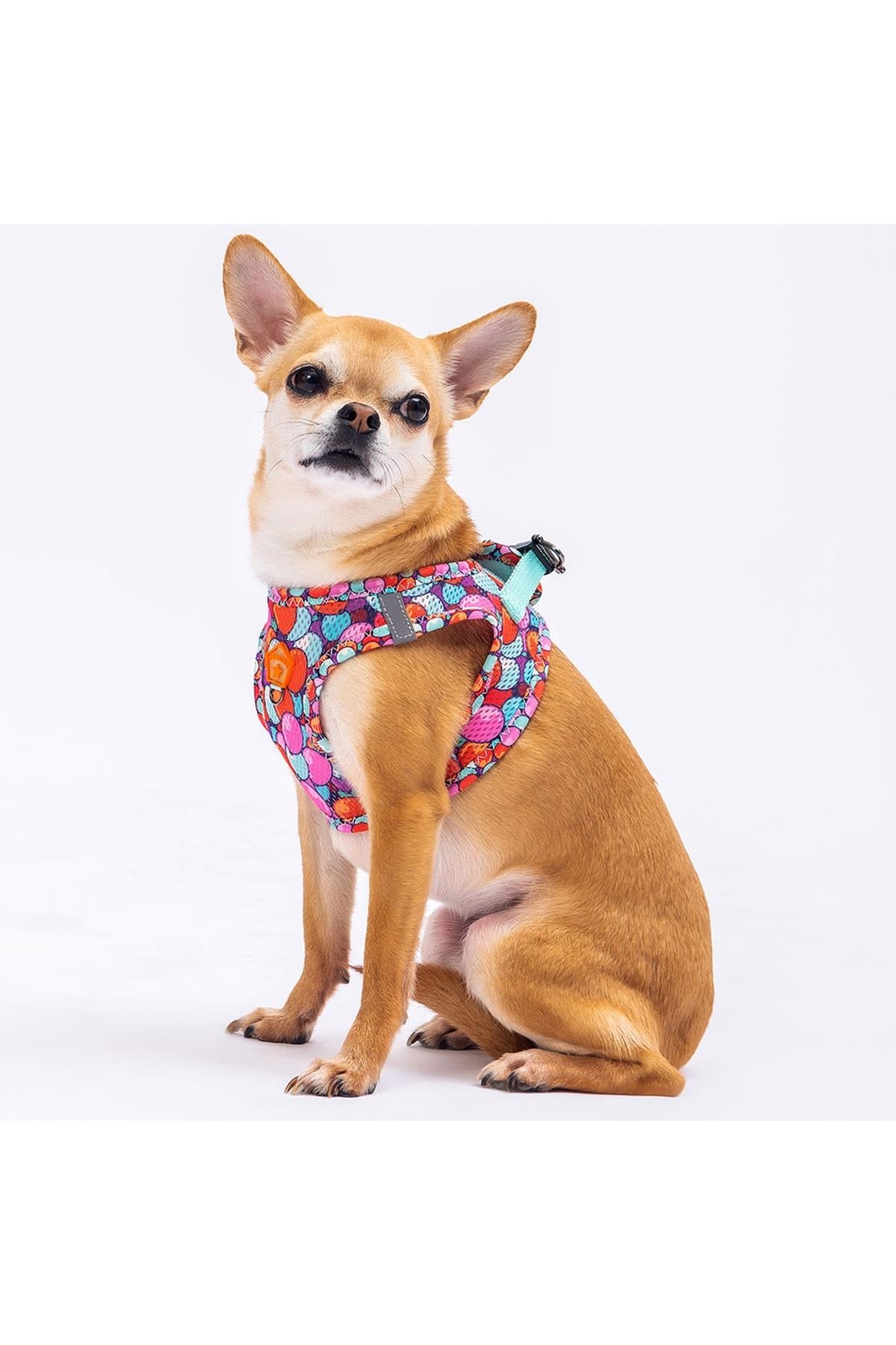 Pawstar Balloons Air-mesh Göğüs Tasması Kedi Köpek Göğüs Tasması Large