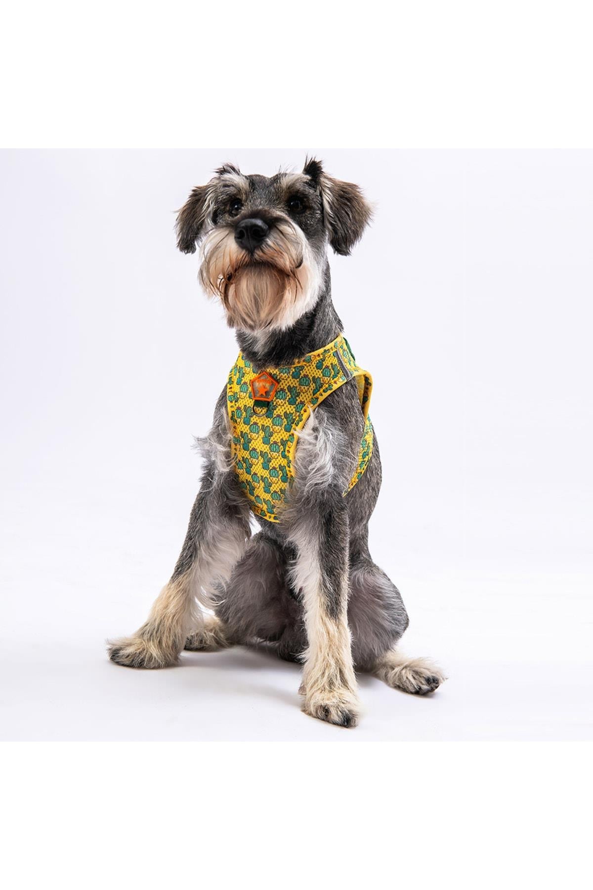 Pawstar Cactus Air-mesh Göğüs Tasması Kedi Köpek Göğüs Tasması XSmall
