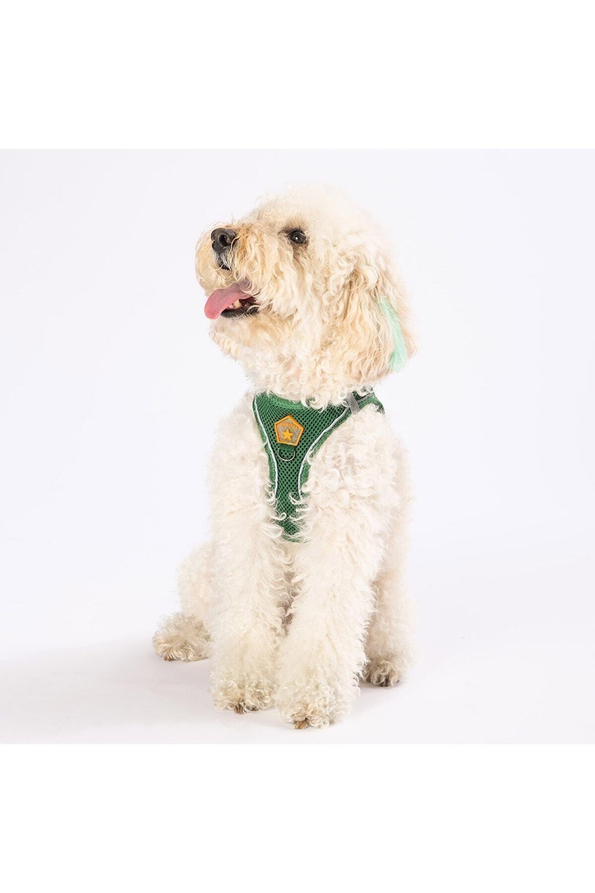 Pawstar Çam Yeşili Air-mesh Göğüs Tasması Kedi Köpek Göğüs Tasması XL