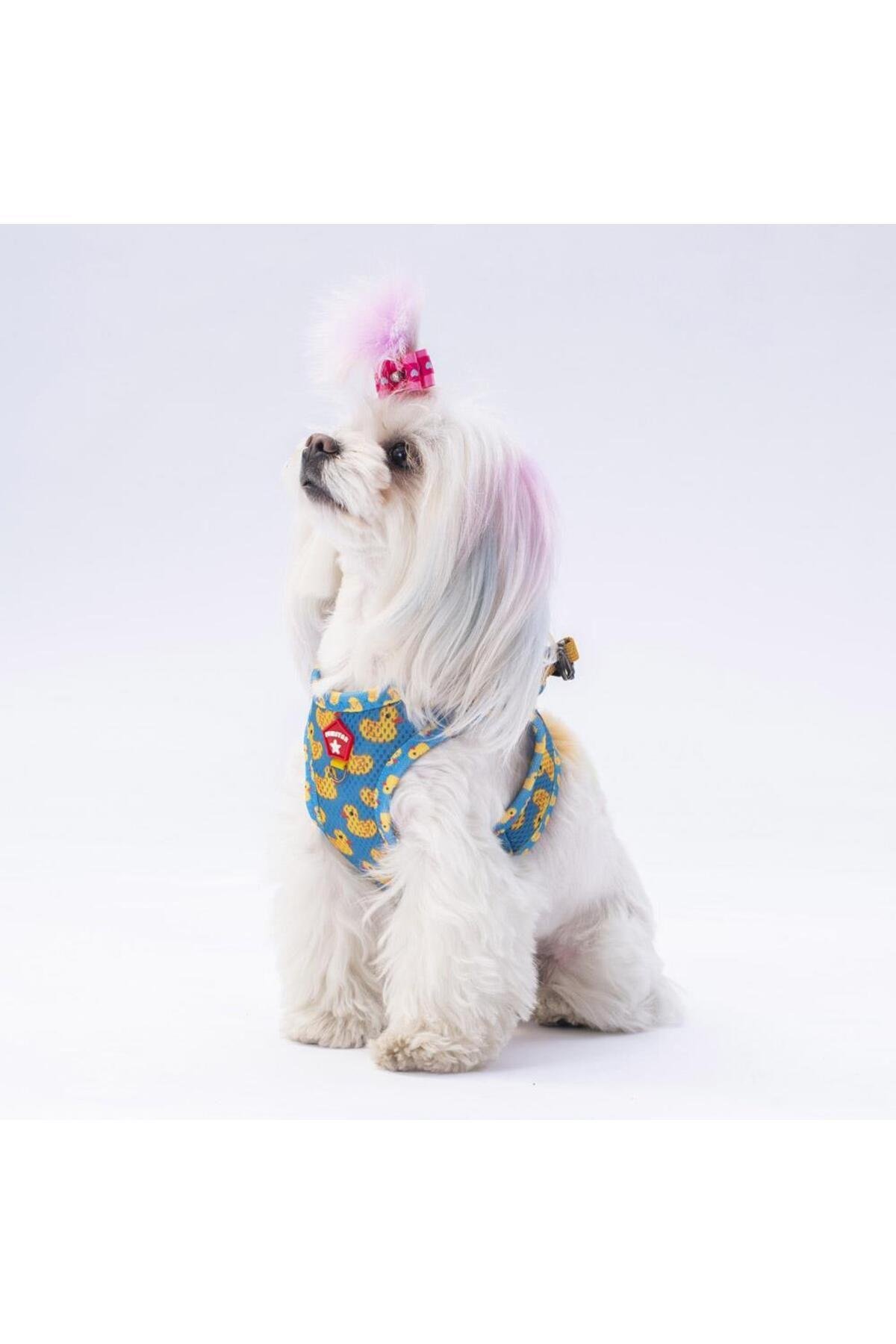 Pawstar Ducks Air-mesh Göğüs Tasması Kedi Köpek Göğüs Tasması S