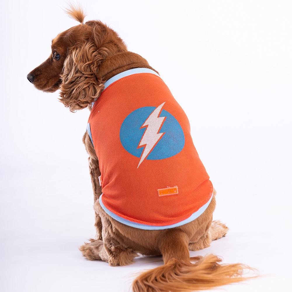Pawstar Flash Mesh Kedi Köpek Tişörtü - Kedi Köpek Kıyafeti Large