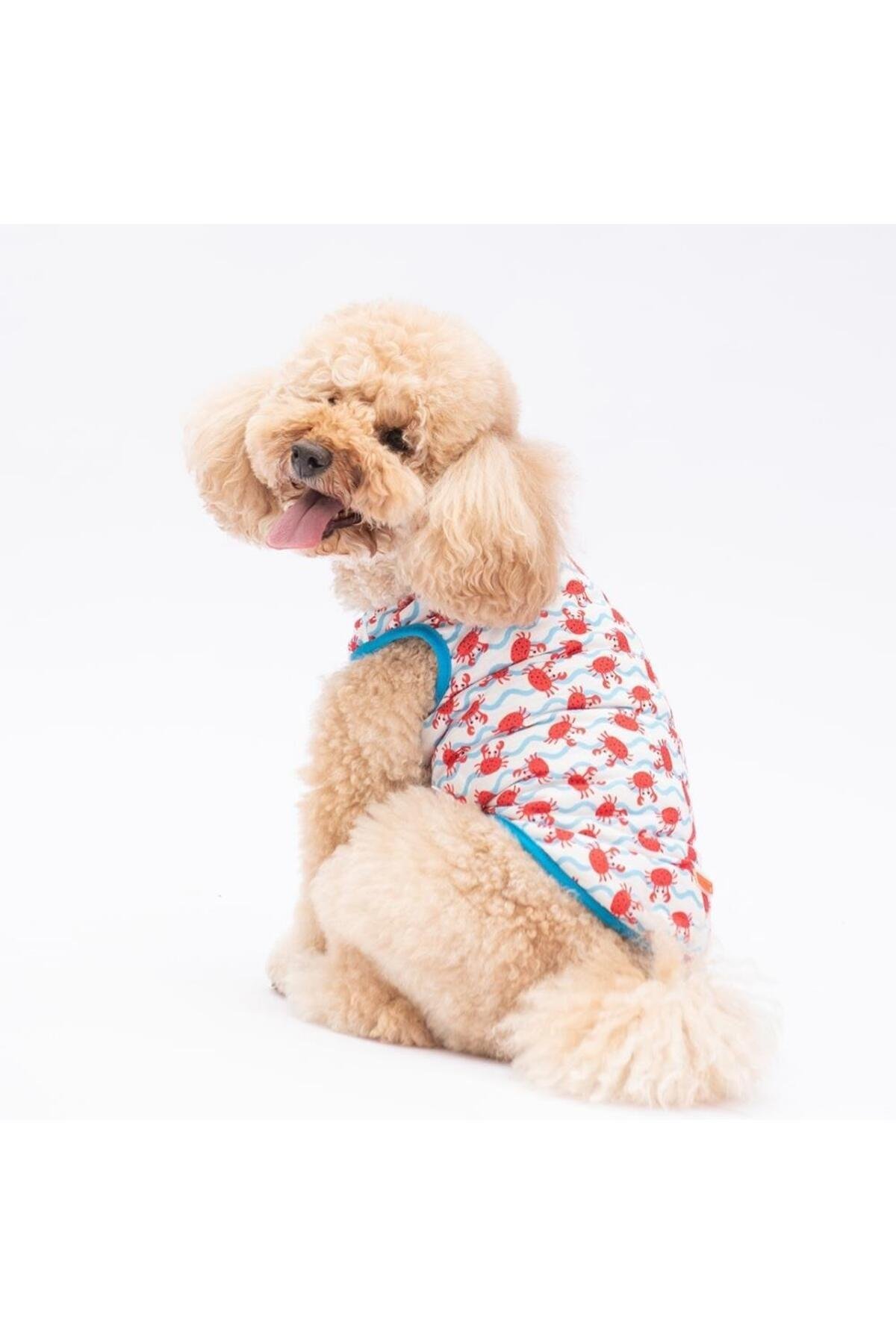 Pawstar Fun Crabs Kedi Köpek Tişörtü - Kedi Köpek Kıyafeti L