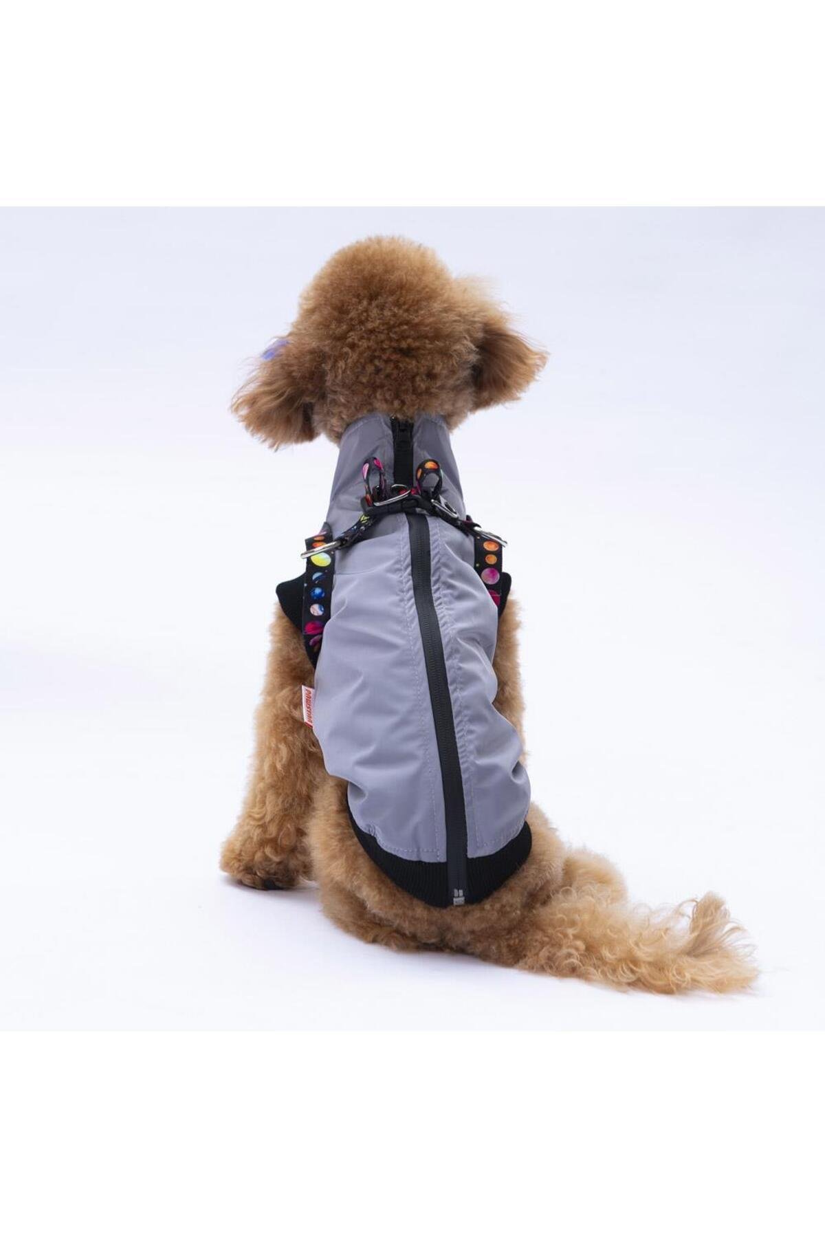 Pawstar Gri Nuuk Yelek Köpek Yeleği Köpek Kıyafeti Köpek Yağmurluk L