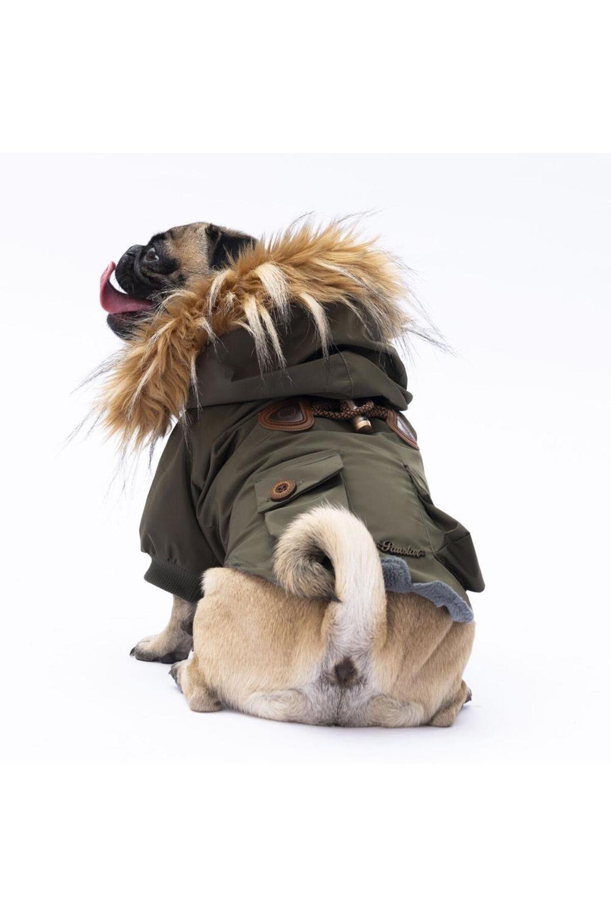 Pawstar Haki Charles Köpek Mont Köpek Yağmurluk Köpek Kıyafeti Köpek Elbisesi XL