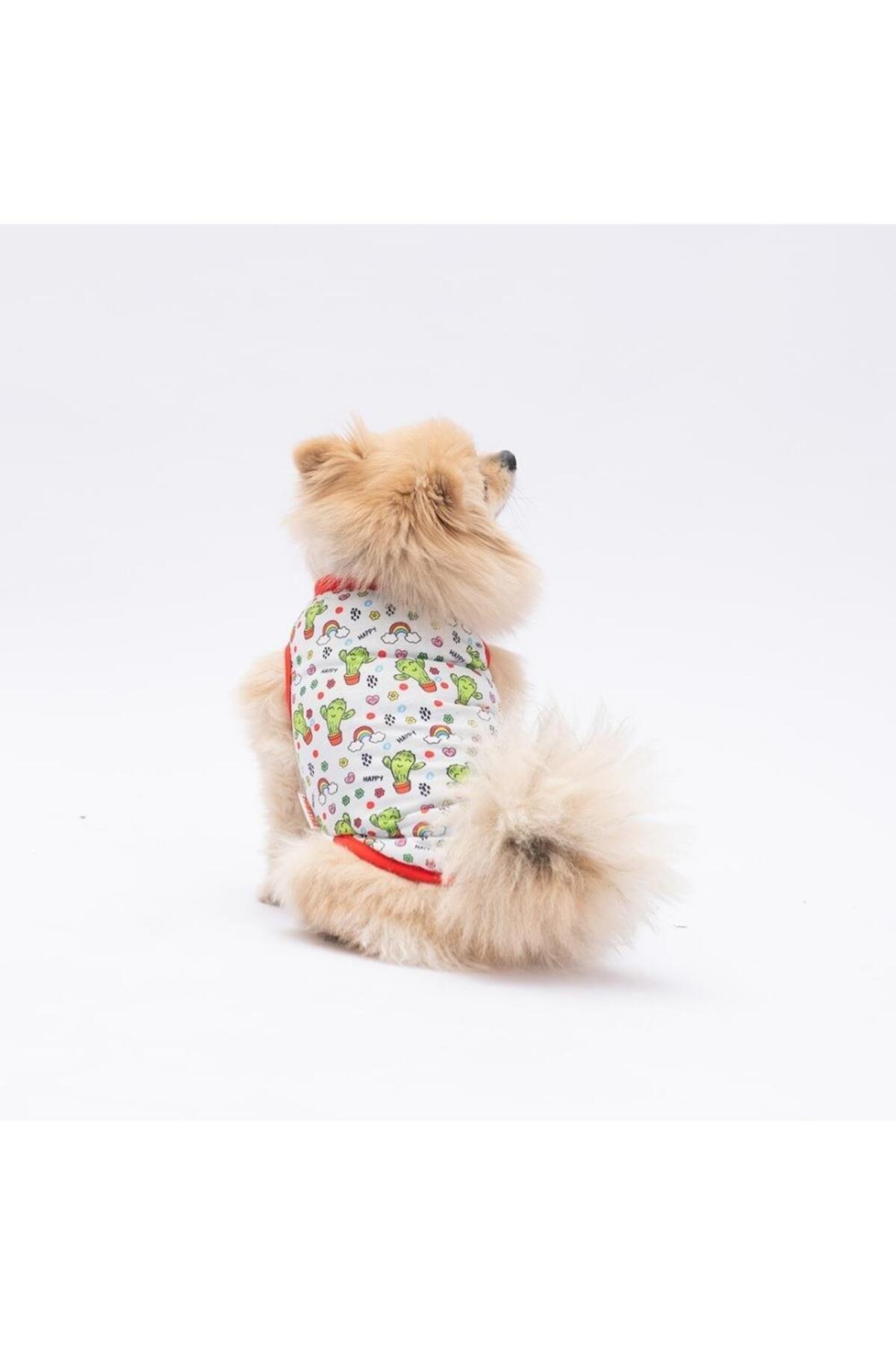 Pawstar Happy Cactus Kedi Köpek Tişörtü - Kedi Köpek Kıyafeti S