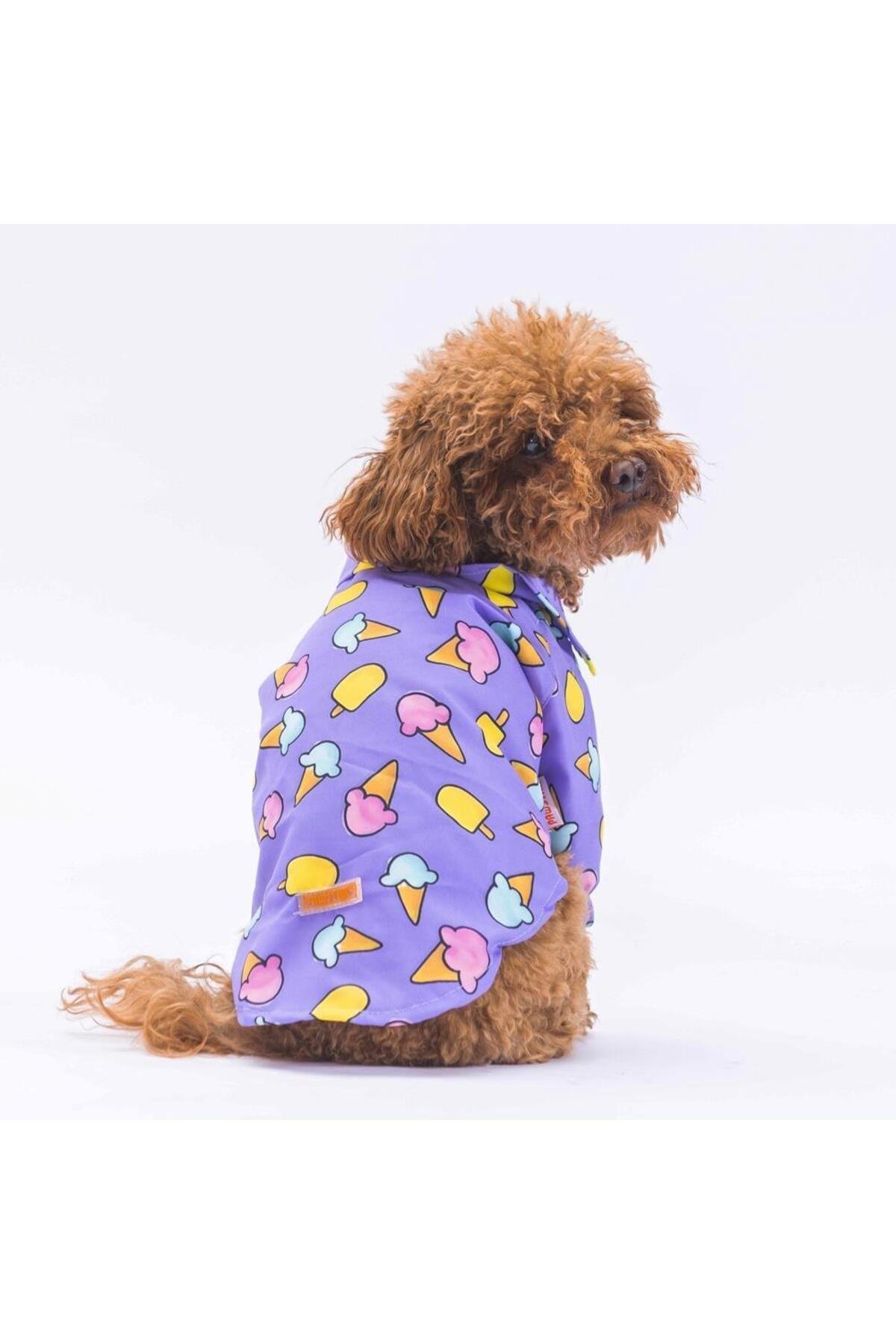 Pawstar Ice Cream Kedi Köpek Gömleği - Kedi Köpek Kıyafeti L
