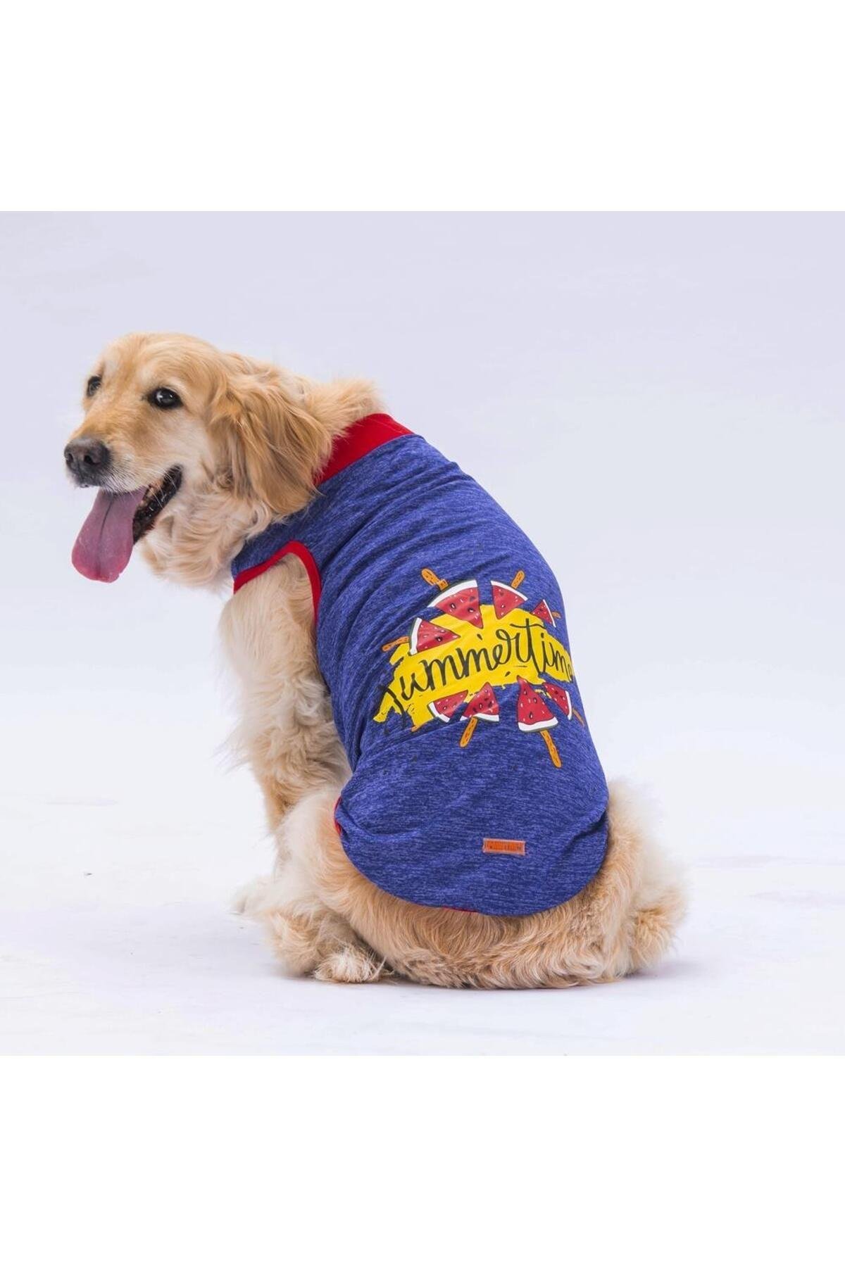 Pawstar Lacivert Summer Time Büyük Köpek Tişörtü - Köpek Kıyafeti 4xl