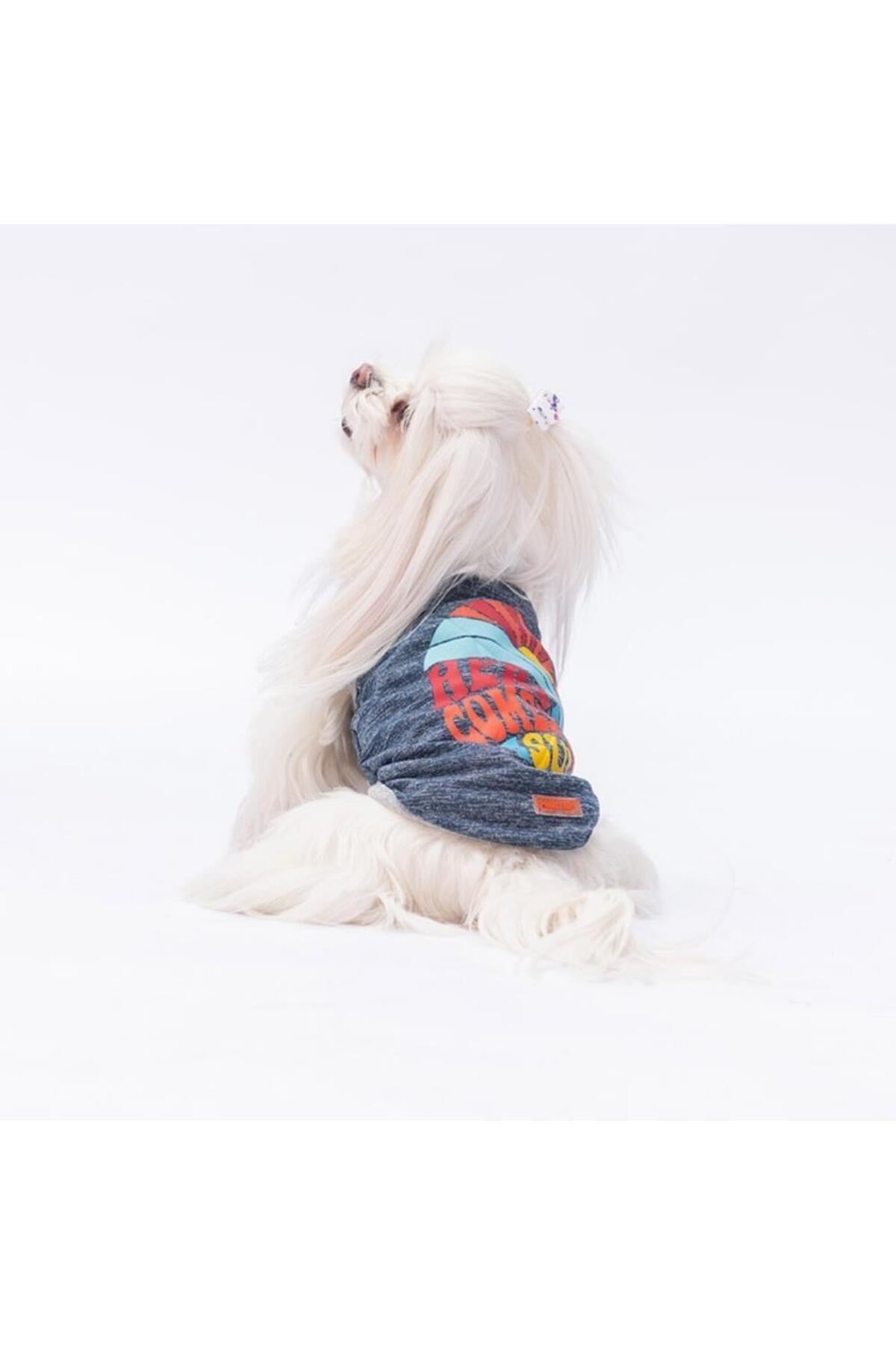 Pawstar Lacivert The Sun Kedi Köpek Tişörtü - Kedi Köpek Kıyafeti L