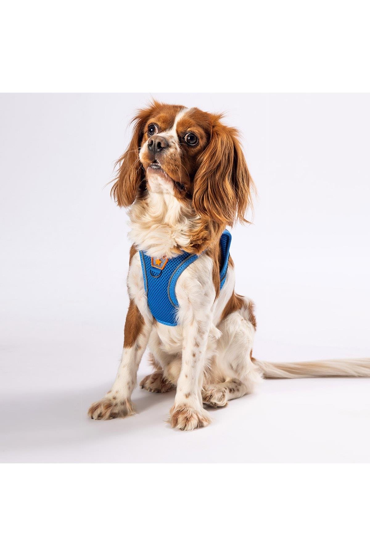 Pawstar Mavi Air-mesh Göğüs Tasması Kedi Köpek Göğüs Tasması XL