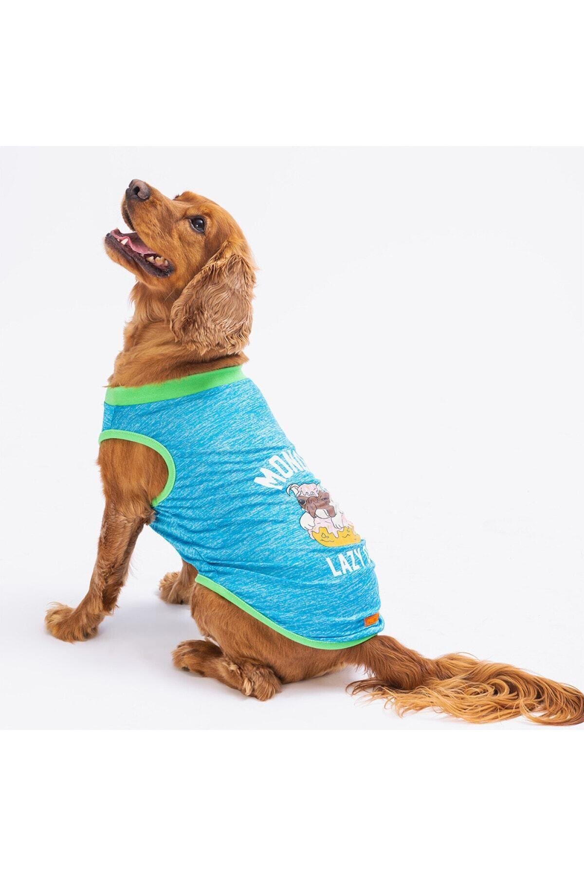 Pawstar Mavi Lazy Kedi Köpek Tişörtü - Kedi Köpek Kıyafeti S
