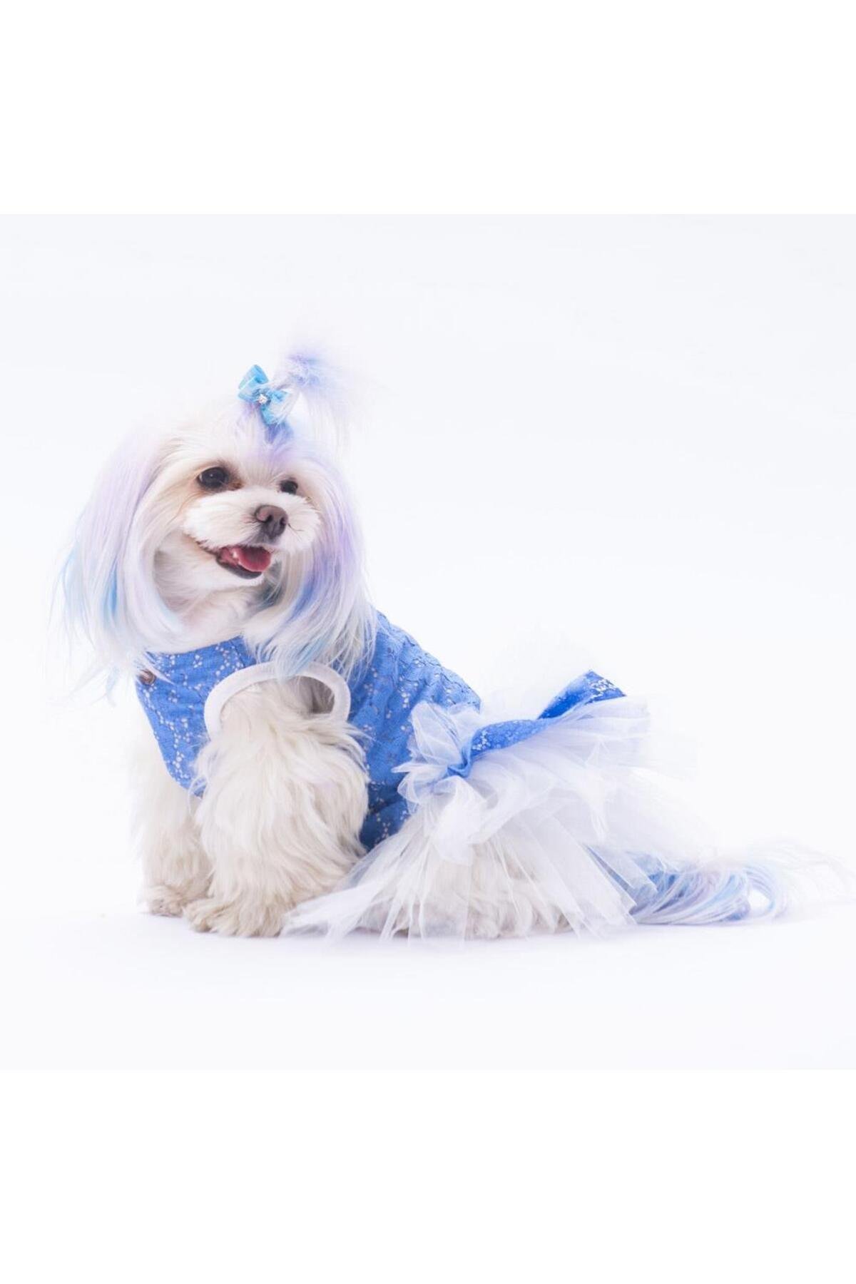 Pawstar Mavi Primavera Kedi Köpek Elbisesi Kedi Köpek Kıyafeti 2XL