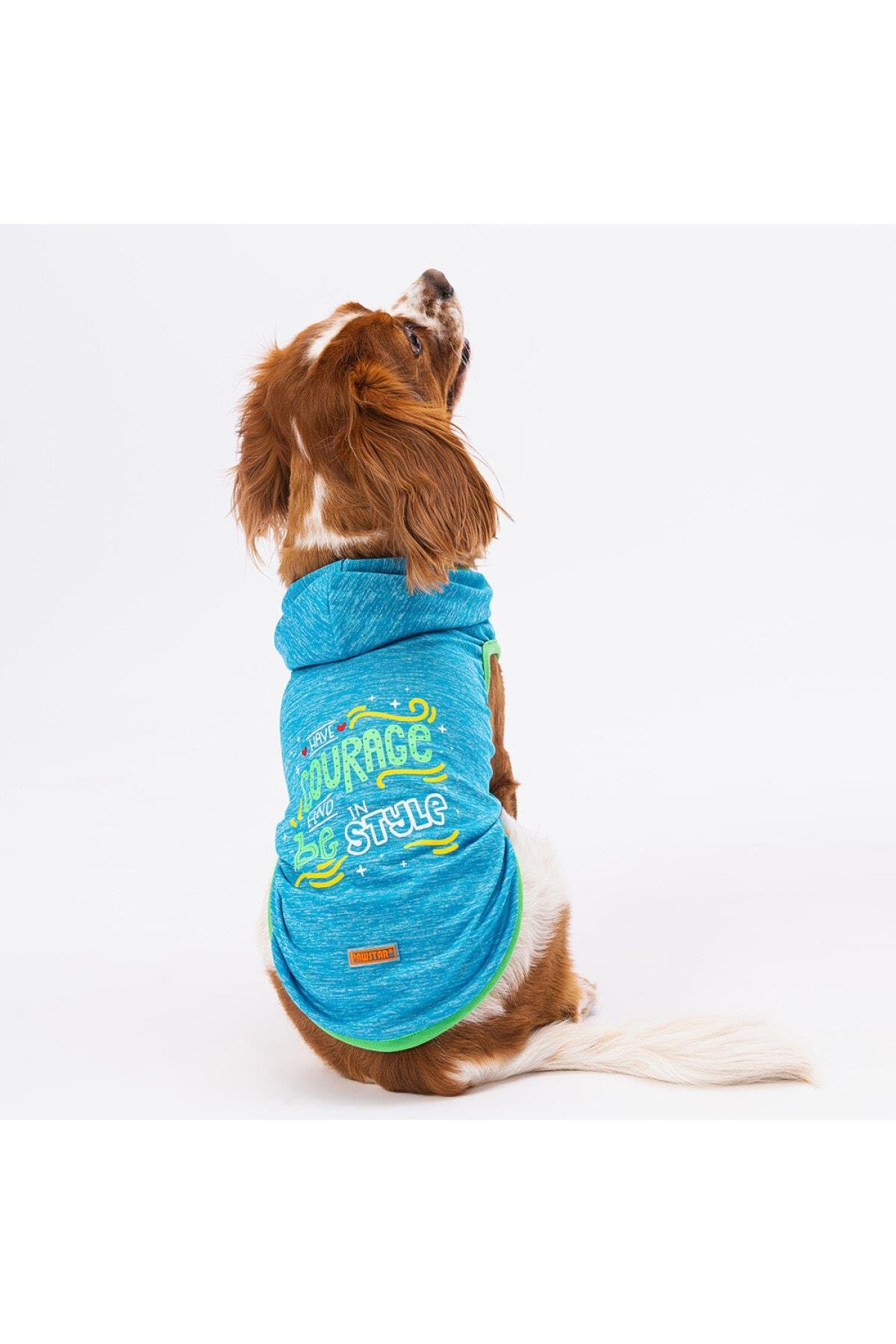 Pawstar Mavi Style Kapşonlu Kedi Köpek Tişörtü - Kedi Köpek Kıyafeti Large