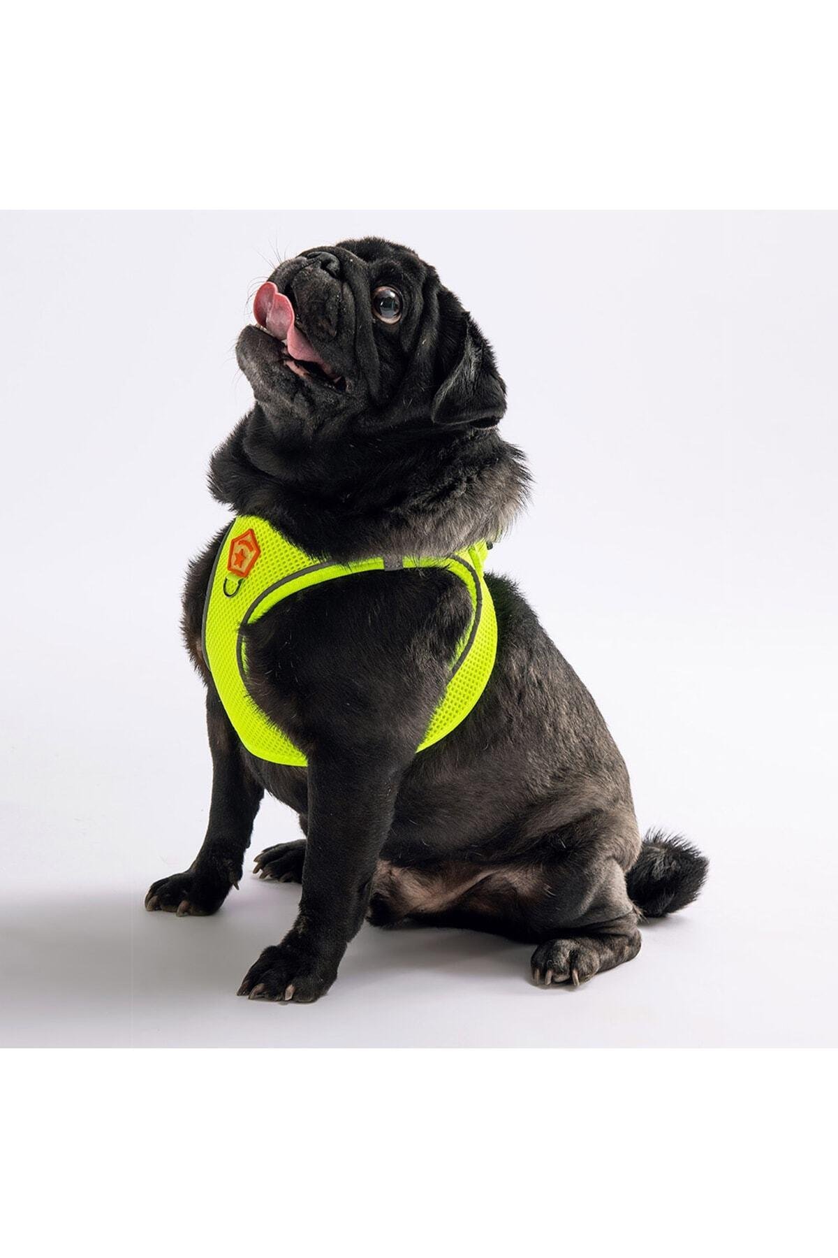 Pawstar Neon Sarı Air-mesh Göğüs Tasması Kedi Köpek Göğüs Tasması 2XS