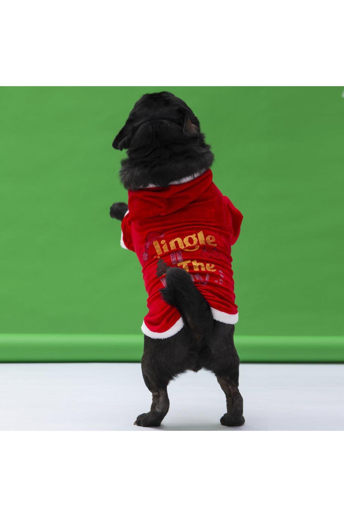 Pawstar New Year Slogan Küçük ve Orta Irk Köpek Kapşonlu Sweati Köpek Kıyafeti - XL