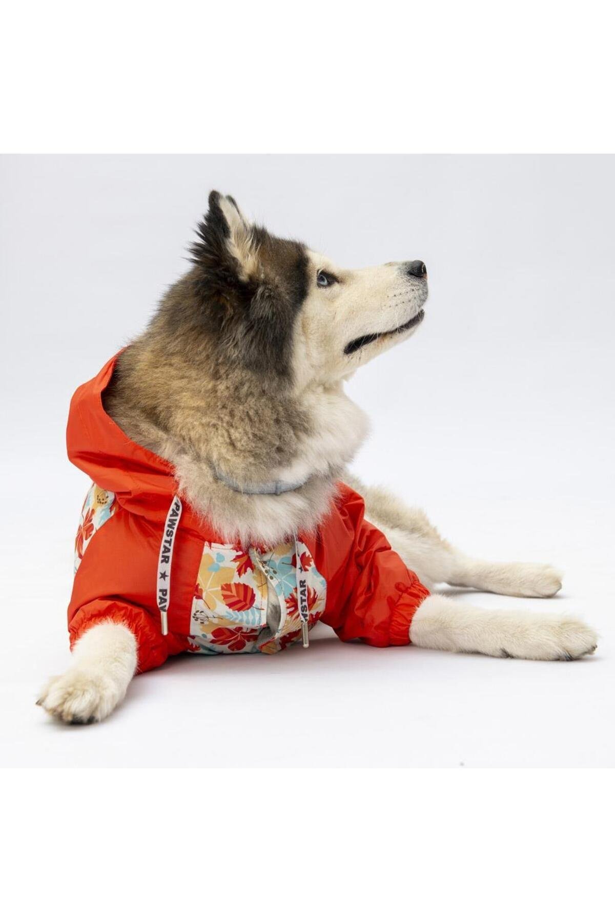 Pawstar Ottawa Büyük Irk Köpek Mont Köpek Yağmurluk Köpek Kıyafeti Köpek Elbisesi 4XL