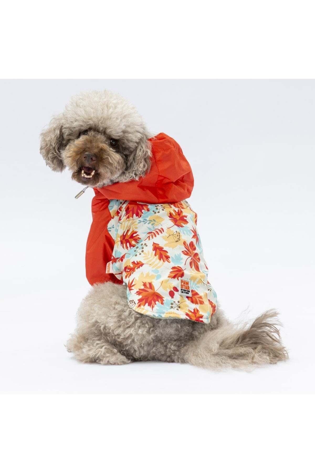 Pawstar Ottawa Yağmurluk Küçük ve Orta Irk Köpek Kıyafeti L