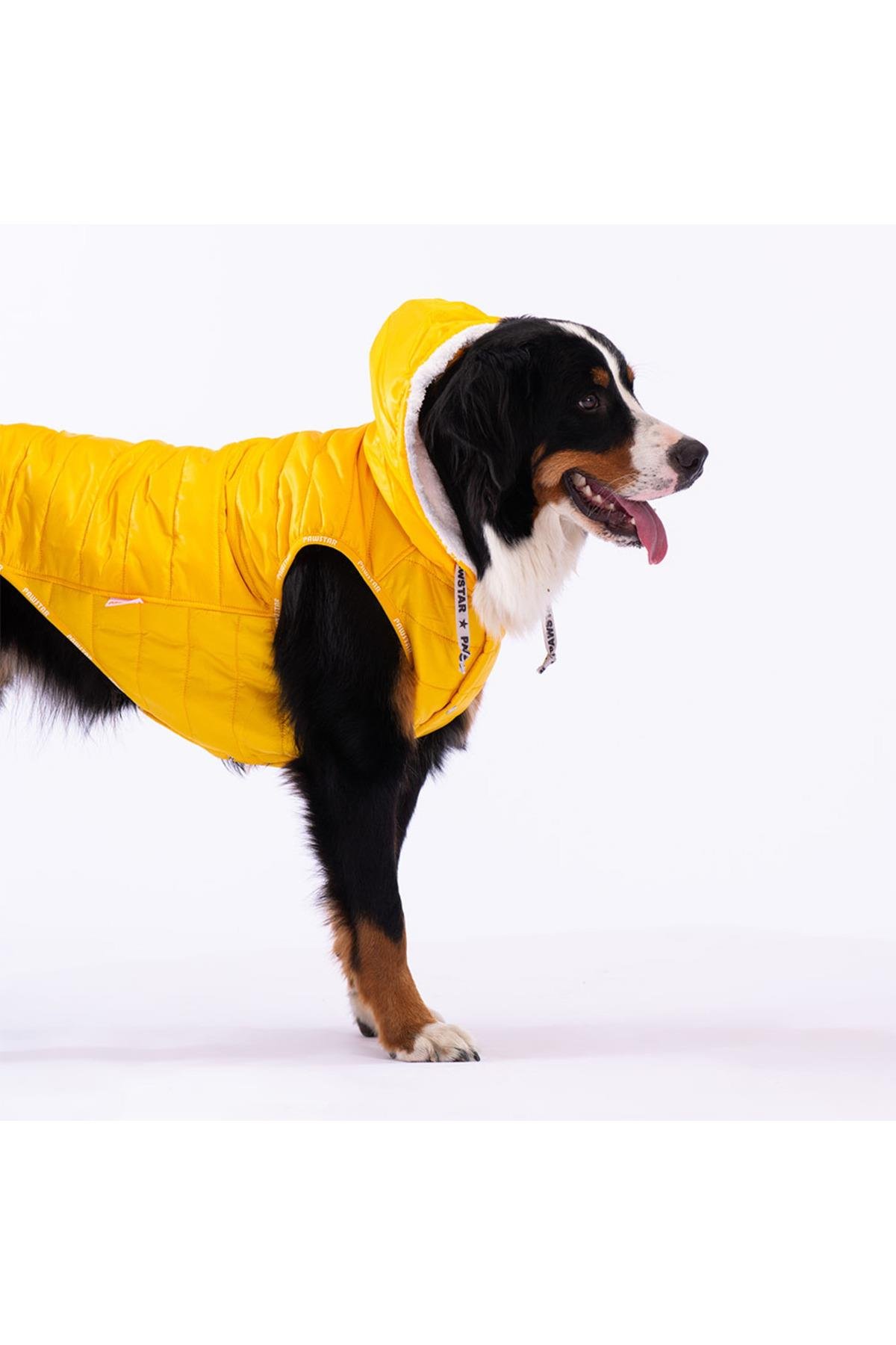 Pawstar Sarı Railway Orta ve Büyük Irklar İçin Anorak Yelek Köpek Yeleği Köpek Kıyafeti Köpek Yağmurluk - 3XL