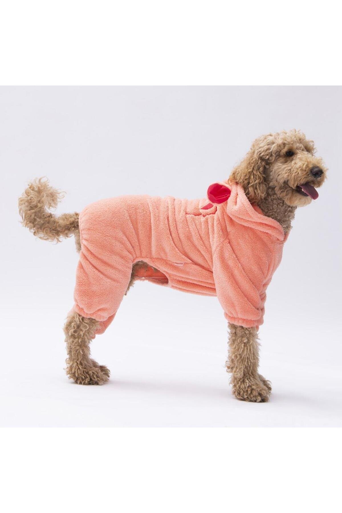 Pawstar Somon Koala Orta ve Büyük Irk Peluş Tulum Köpek Tulumu Köpek Kıyafeti Kedi Kıyafeti 5XL