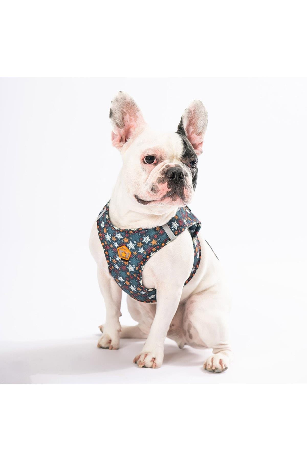 Pawstar Stallae Air-mesh Göğüs Tasması Kedi Köpek Göğüs Tasması 3XSmall