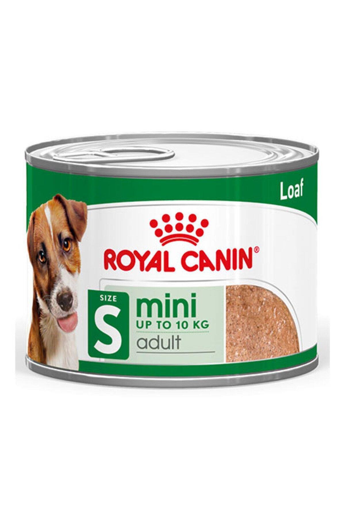 Royal Canin Mini Adult Küçük Irk Ezme Yetişkin Köpek Konservesi 195 gr