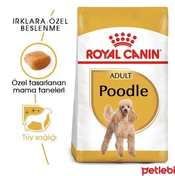Royal Canin Poodle Yetişkin Köpek Maması 3kg