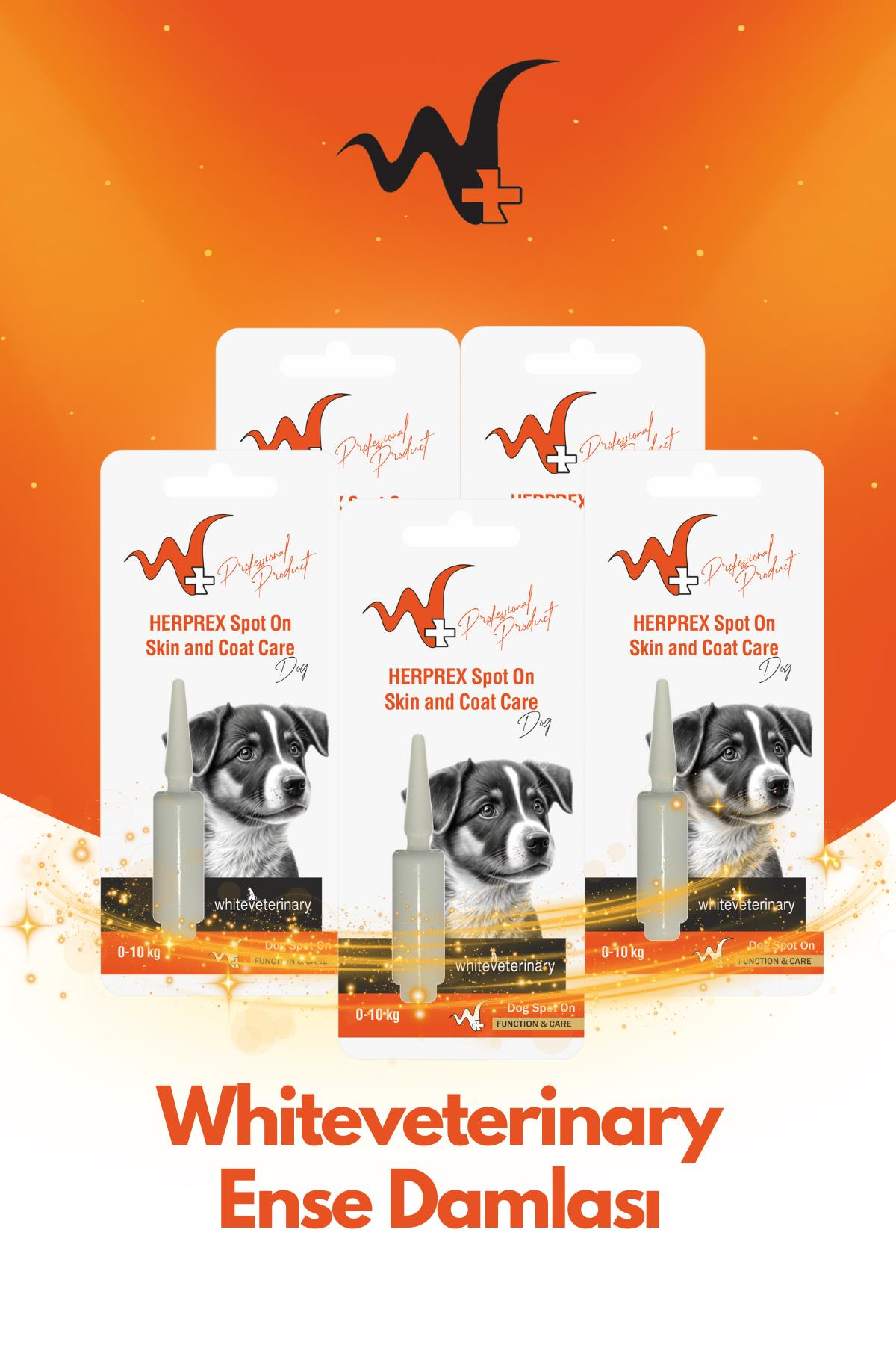 WhiteVeterinay Köpek Ense Damlası Bit Ve Pire 0-10 Kg 1ml 5 Adet