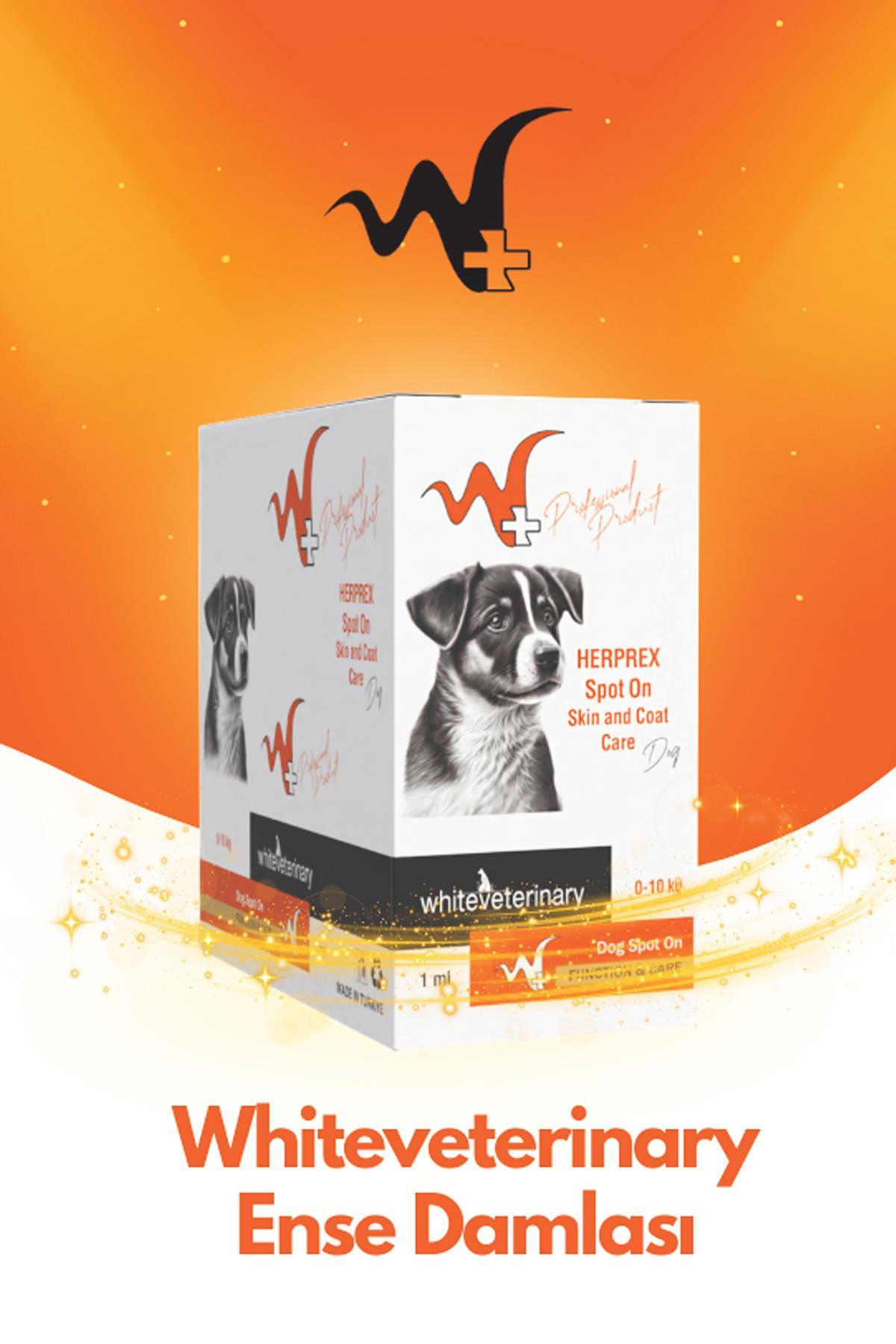 WhiteVeterinay Köpek Ense Damlası Bit Ve Pire 0-10 Kg 1ml 10 Adet