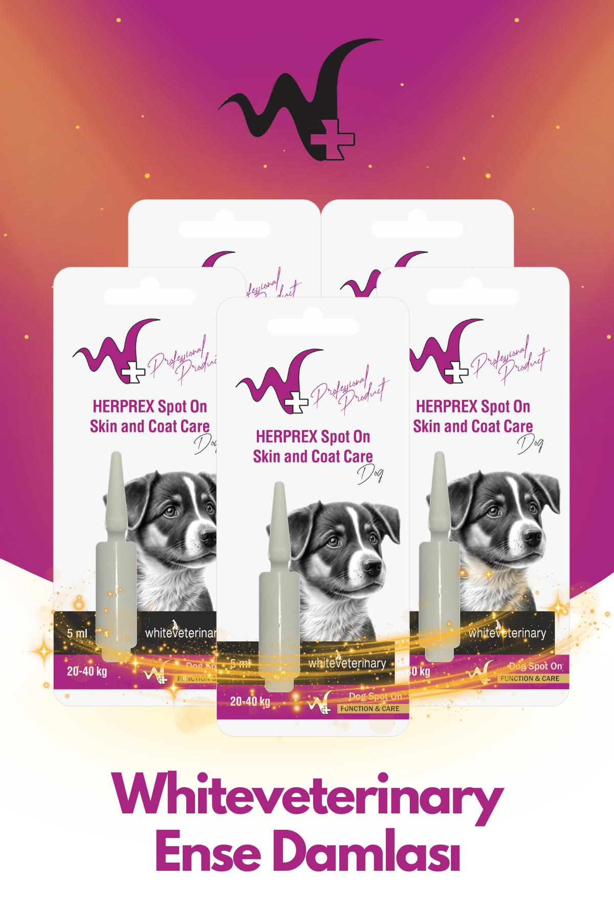 WhiteVeterinay Köpek Ense Damlası Bit Ve Pire 20-40 Kg 1ml 5 Adet