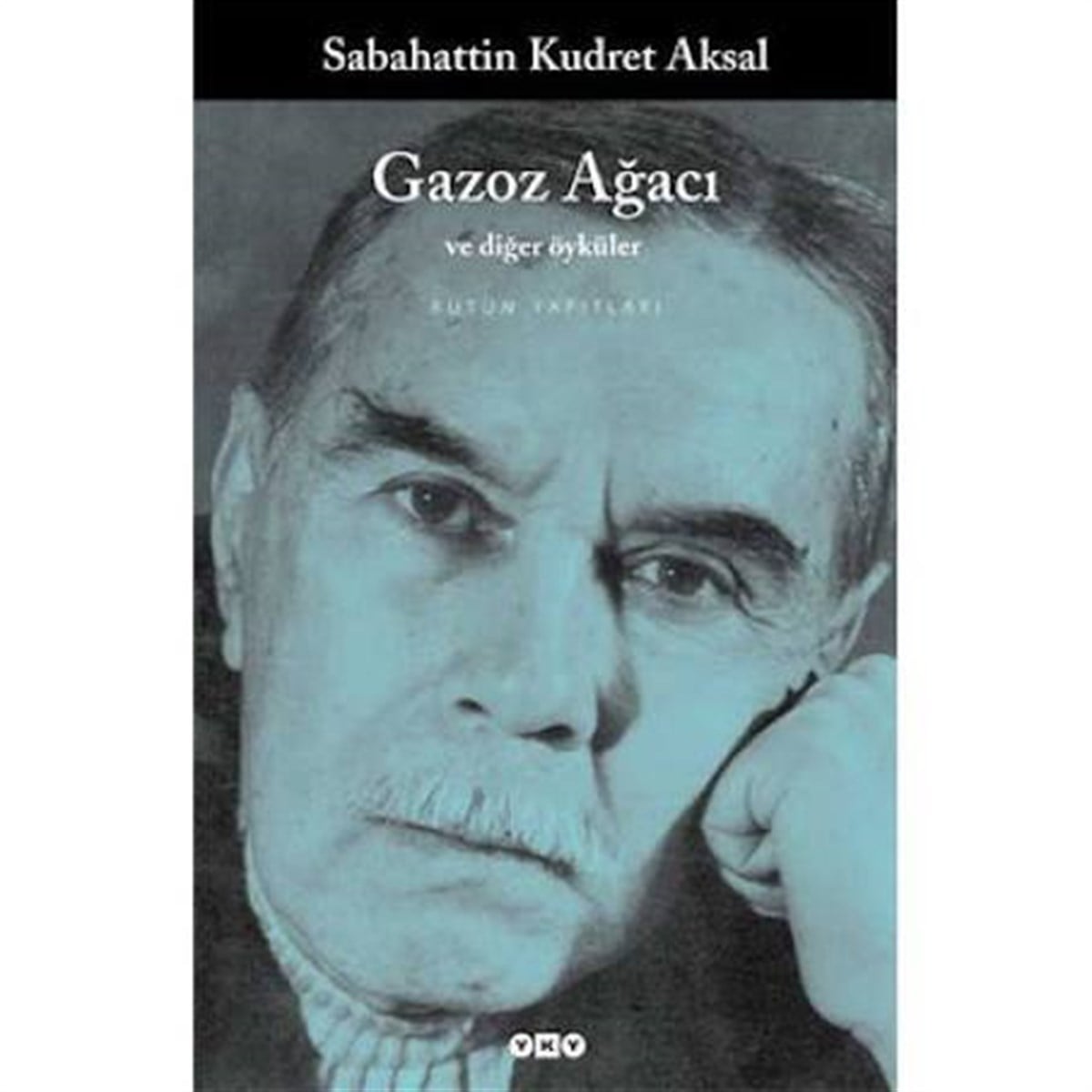 Gazoz Ağacı Yapı Kredi Yayınları