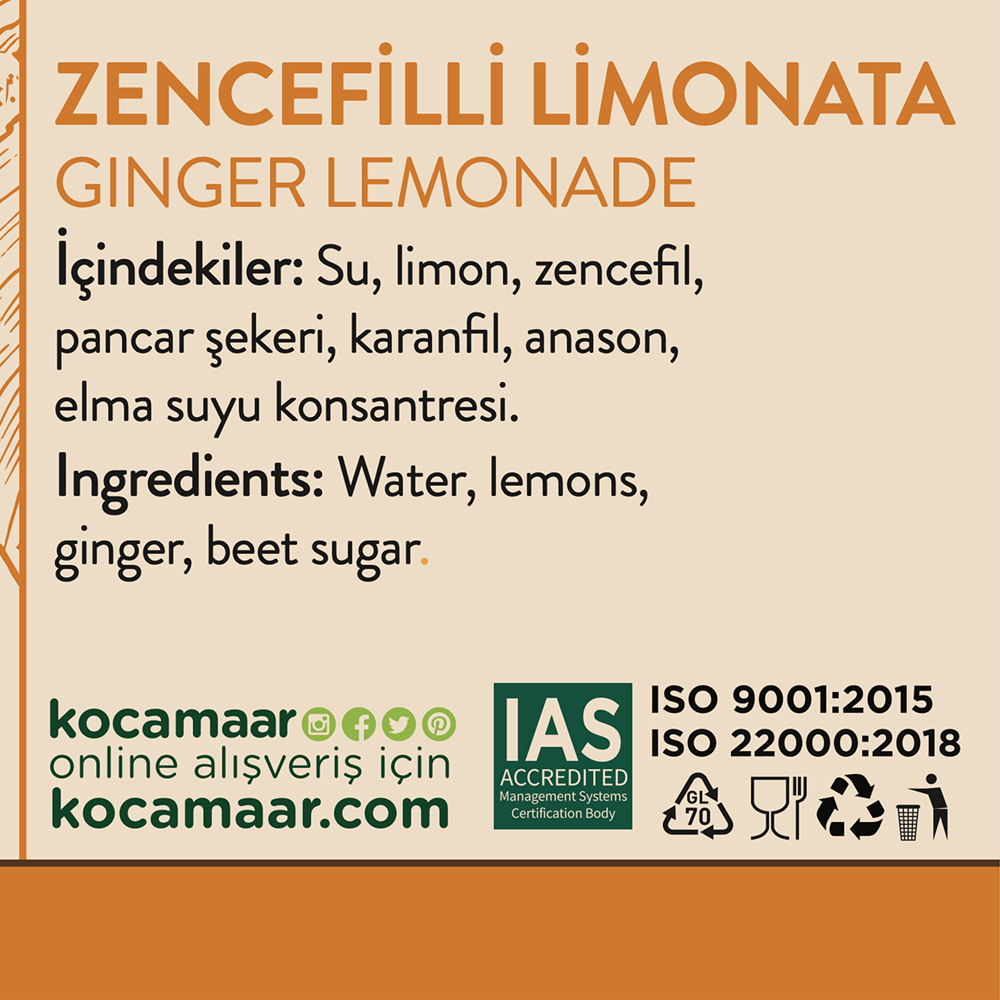 Zencefilli Limonata 250 Ml