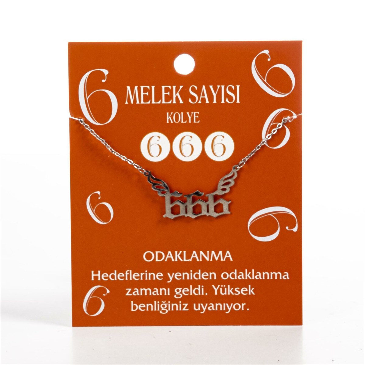 Touz Angel Number '666' Melek Numarası Kolye