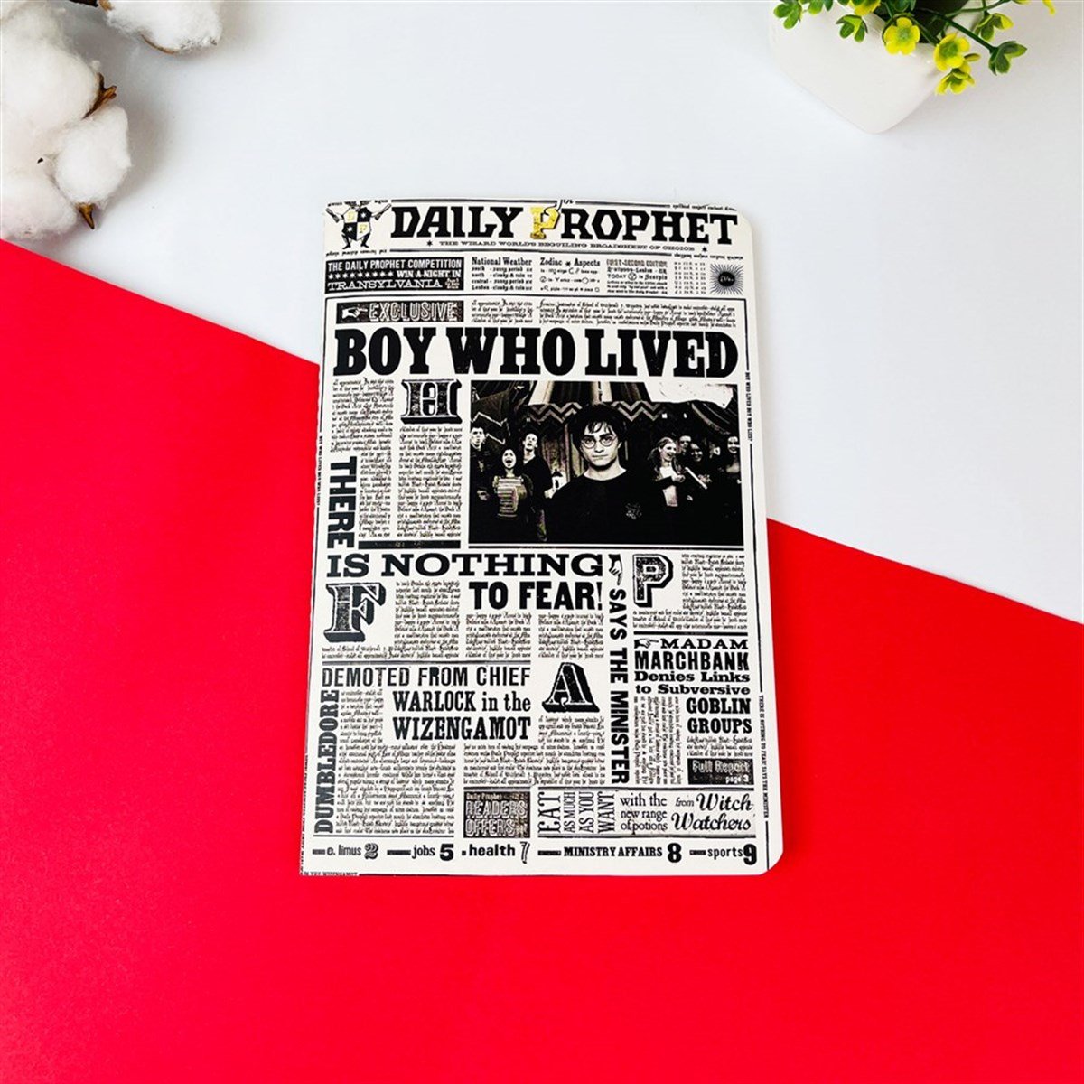 Touz HP Boy Who Lived Tasarımlı Dikişli Defter
