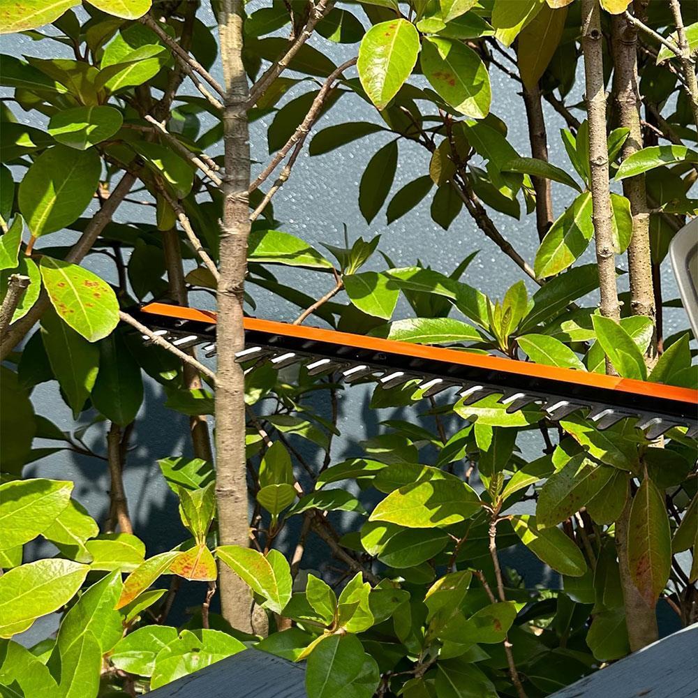 WORX WG263E 20Volt 4.0Ah. Li-ion Tek Akülü 57CM Profesyonel Çit Budama 