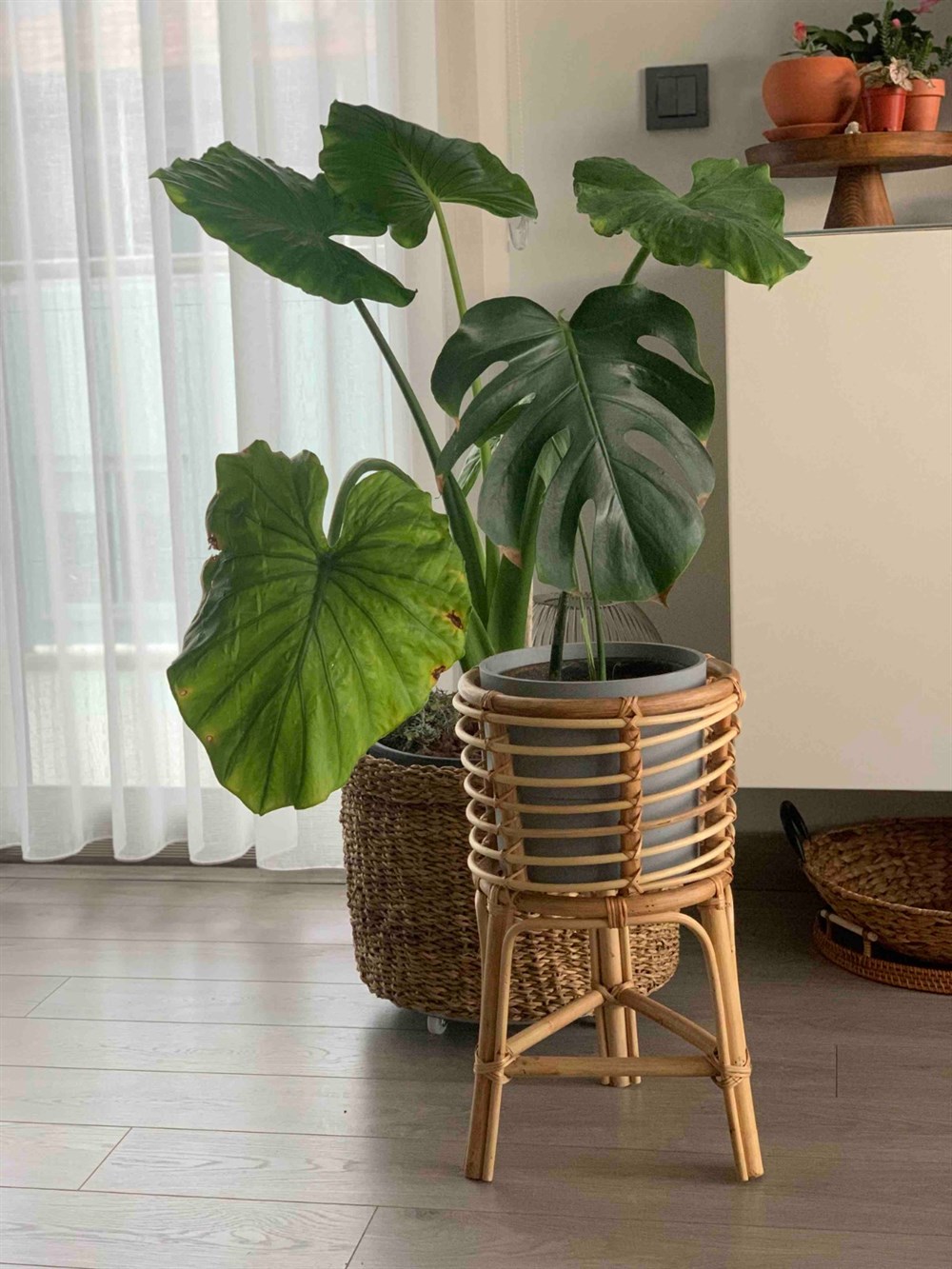 Lagos El Yapımı Rattan Çiçeklik