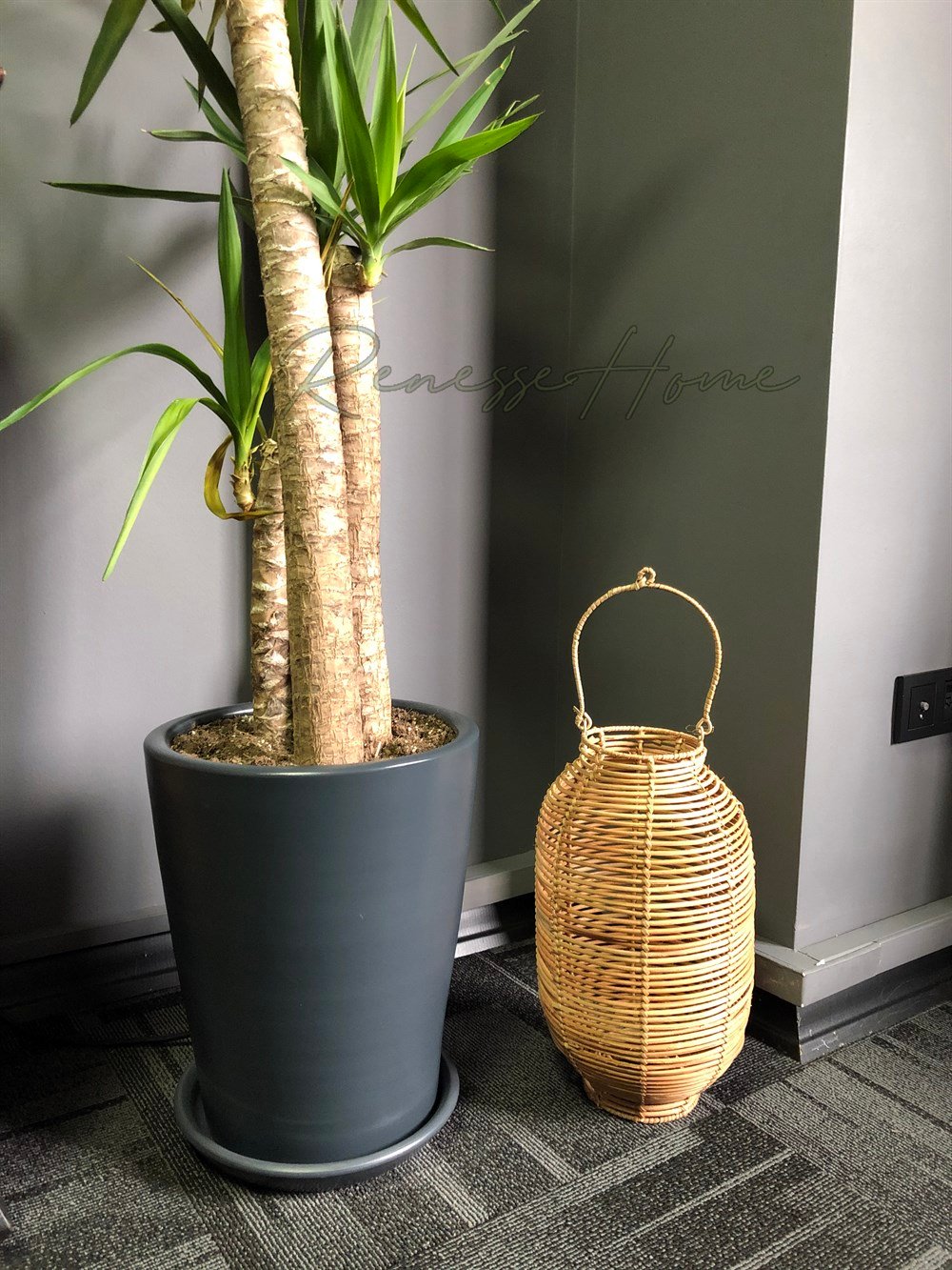 Simal Rattan Mumluk