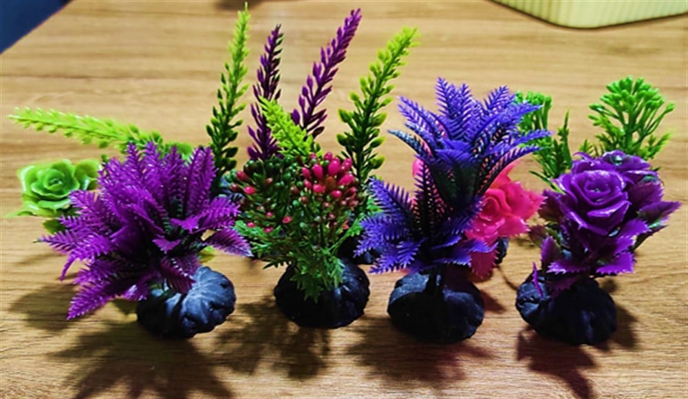 Akvaryum Küçük Boy Bitki Çeşitleri 10'lu