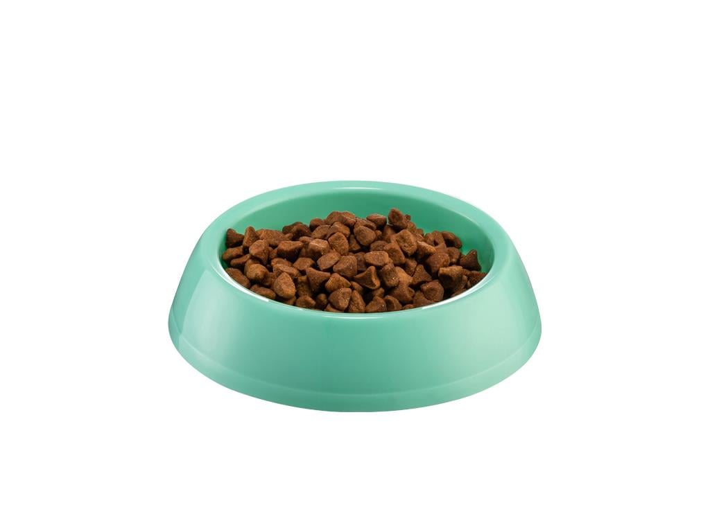 Küçük Yuvarlak Mama & Su Kabı