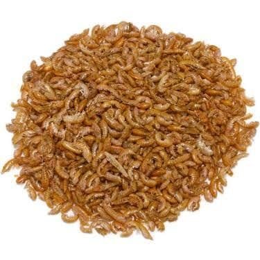 Rotifish Gammarus 750 g