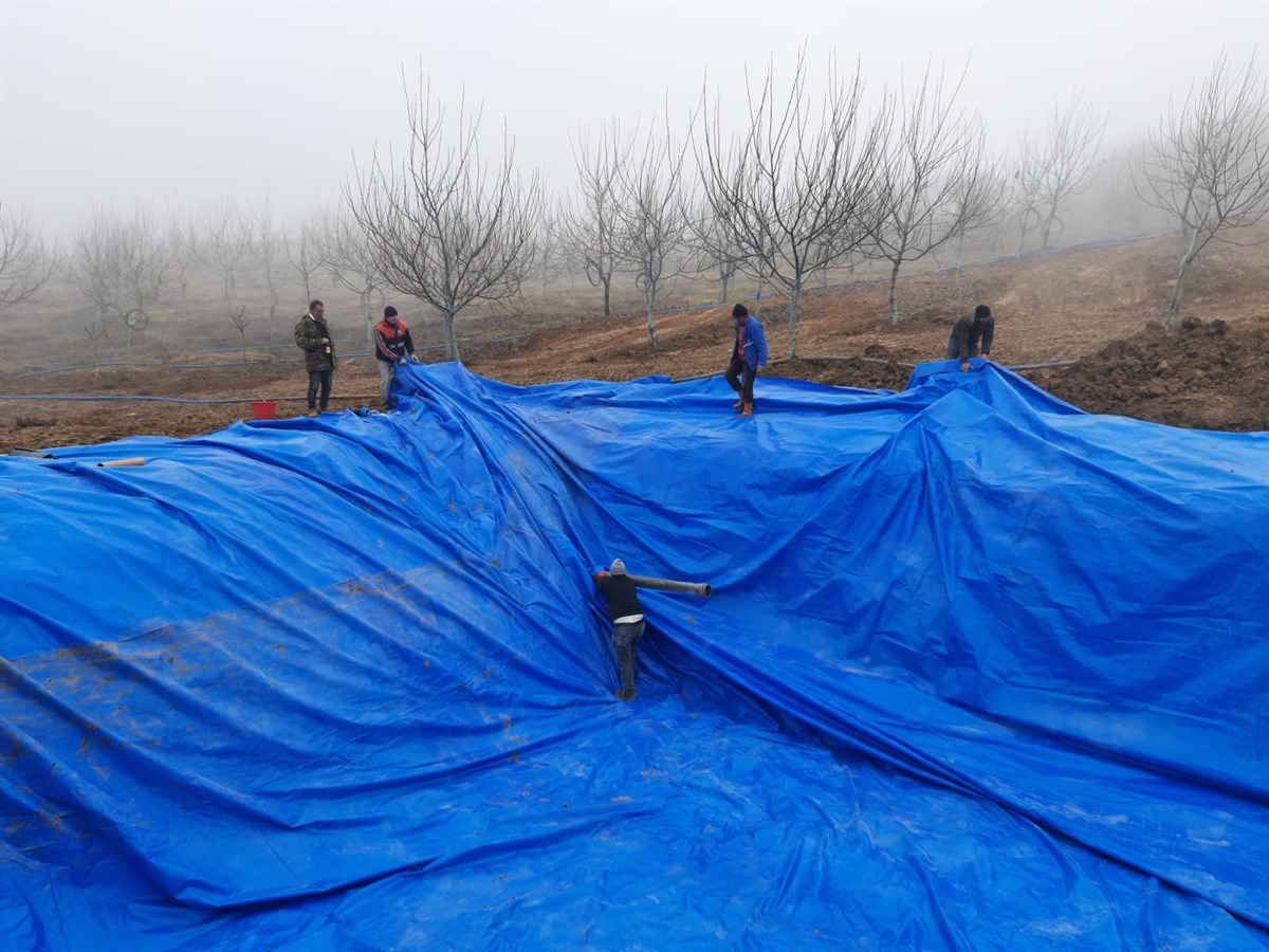 230 Gram PE Dokuma Branda 10m*10m