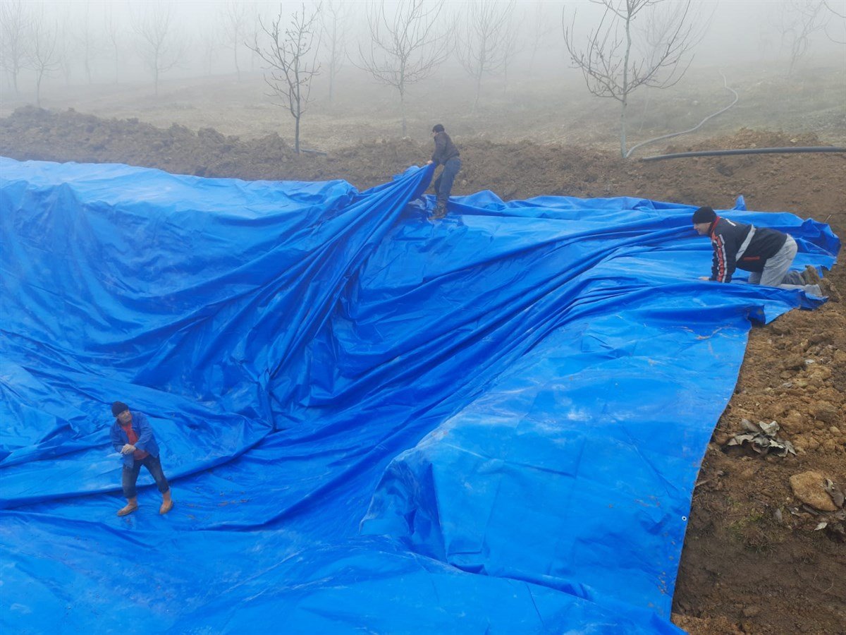 230 Gram PE Dokuma Branda 10m*10m