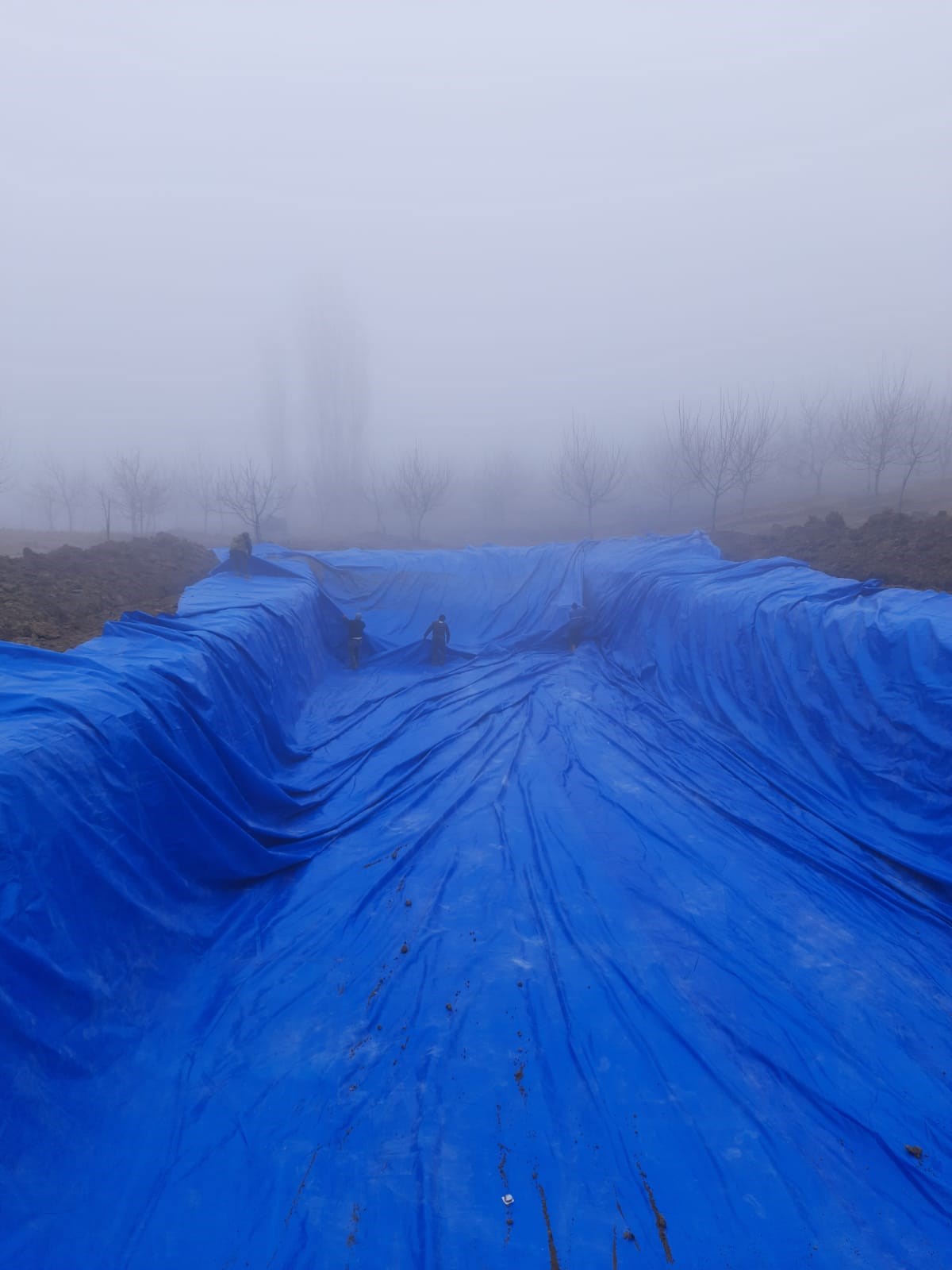 230 Gram PE Dokuma Branda 10m*10m