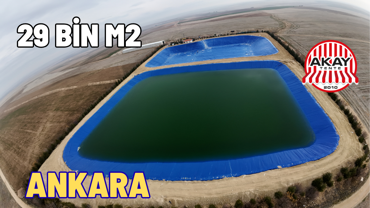 450 Gram Polyester Branda