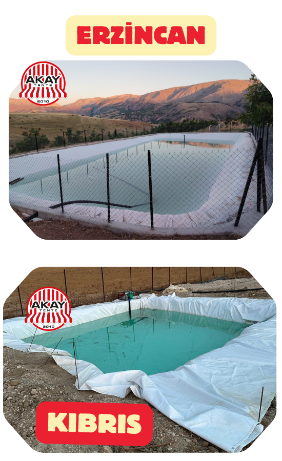 450 Gram Polyester Branda