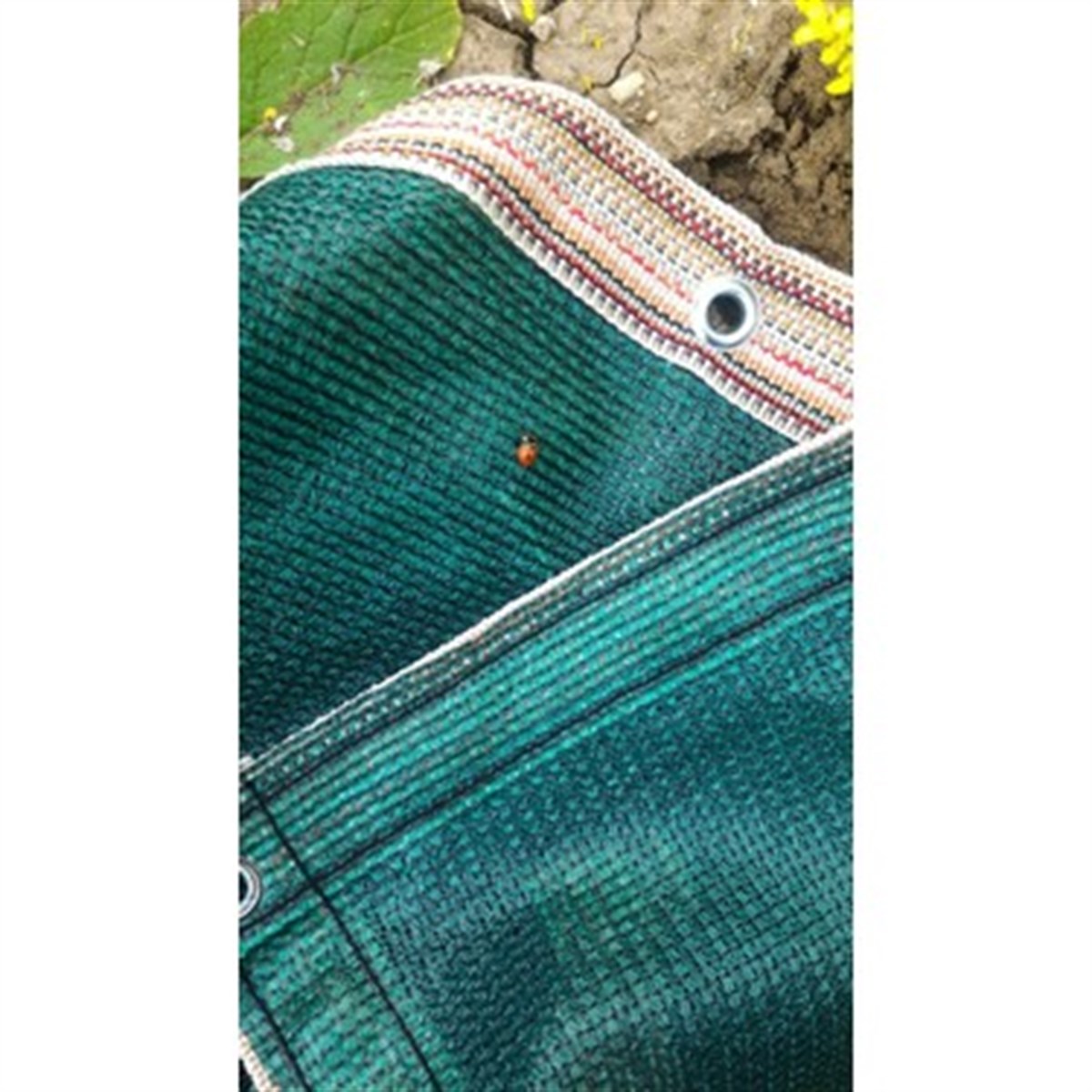 5X5 Gölgelik File %95 140 Gram Yeşil Ücretsiz Kargo
