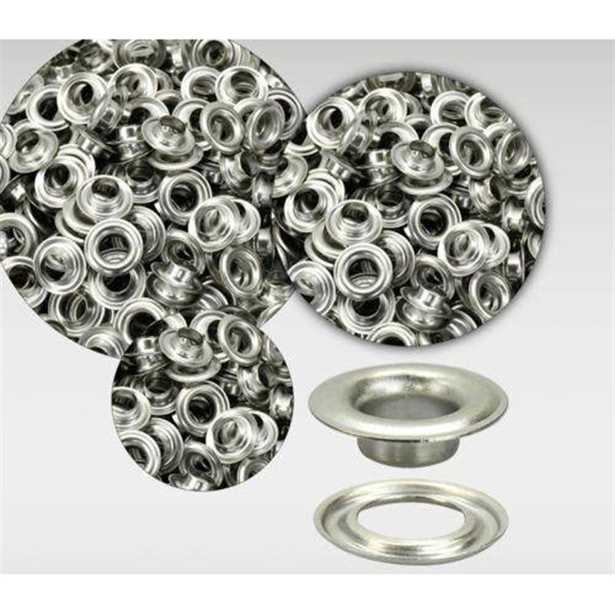 Kuşgözü Fiyatları  