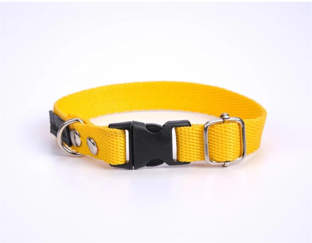 Gümüş Kemikli Köpek Tasması