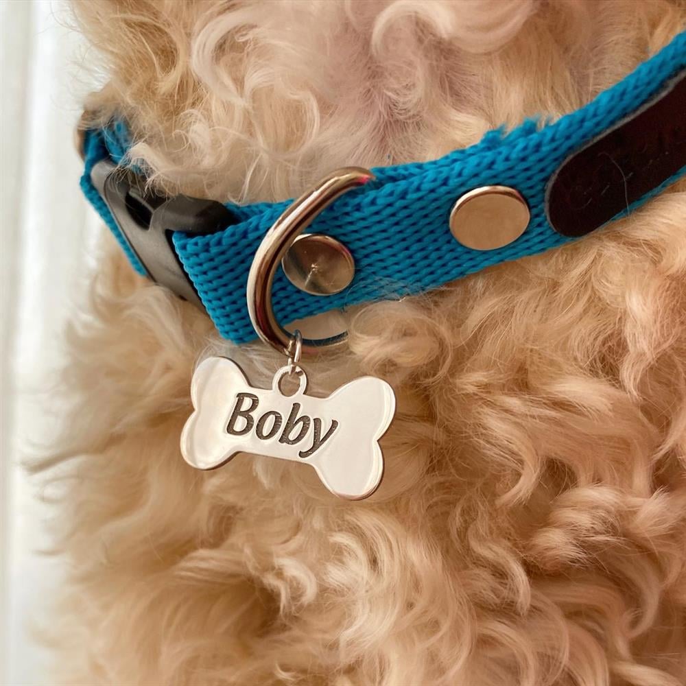 Gümüş Mavi Kemikli Köpek Tasması