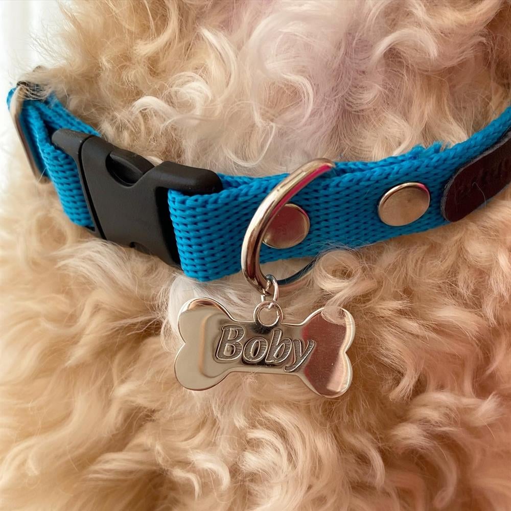 Gümüş Mavi Kemikli Köpek Tasması