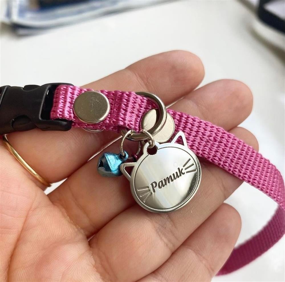 Gümüş Pembe Kedi Tasması