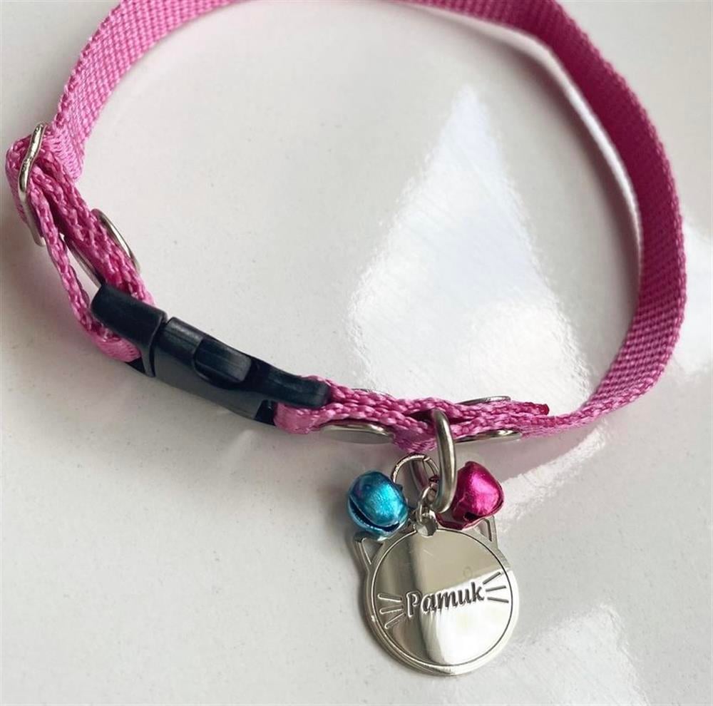 Gümüş Pembe Kedi Tasması